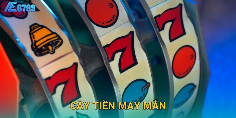 Cây Tiền May Mắn sinh lộc – Hái lộc không ngừng tại Ae6789